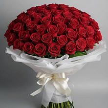 Букет 101 Красная роза Блэк Мэджик в Черге