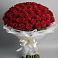 Букет 101 Красная роза Блэк Мэджик в Черге
