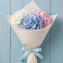 Букет цветов из:  Гортензия в Черге