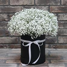Цветочная композиция из Гипсофила в шляпной коробке #REPLACE_PRED# Черге