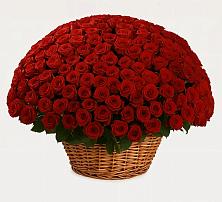 Премиум букет из: Розы в Черге