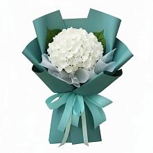 Букет цветов из:  Гортензия #REPLACE_PRED# Черге